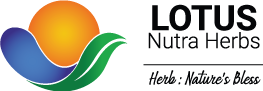 Lotus-Logo-footer