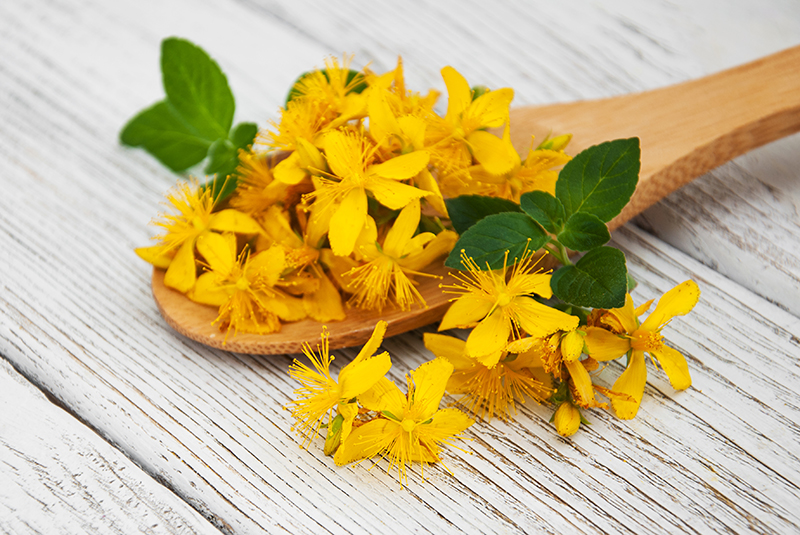 St.John’s Wort